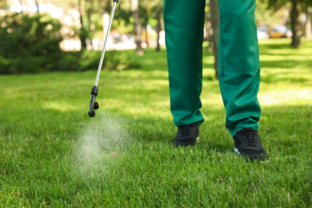 Best Rat Extermination Near Me  in Green Oaks, IL
